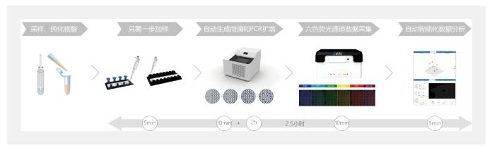 数字PCR